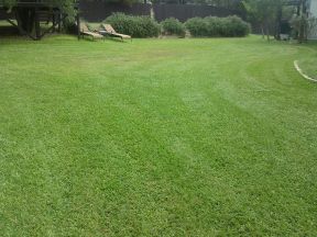 Lago Vista lawn service